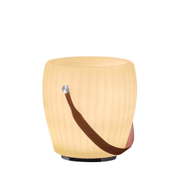 Joouly Bowl Large: Bluetooth-Speaker, Leuchte und Weinkühler in Einem
